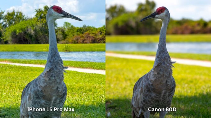 Ảnh chụp zoom 5x bằng iPhone 15 Pro Max và Canon EOS 80D