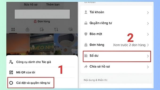 Vào Quyền riêng tư và Cài đặt, chọn Số dư