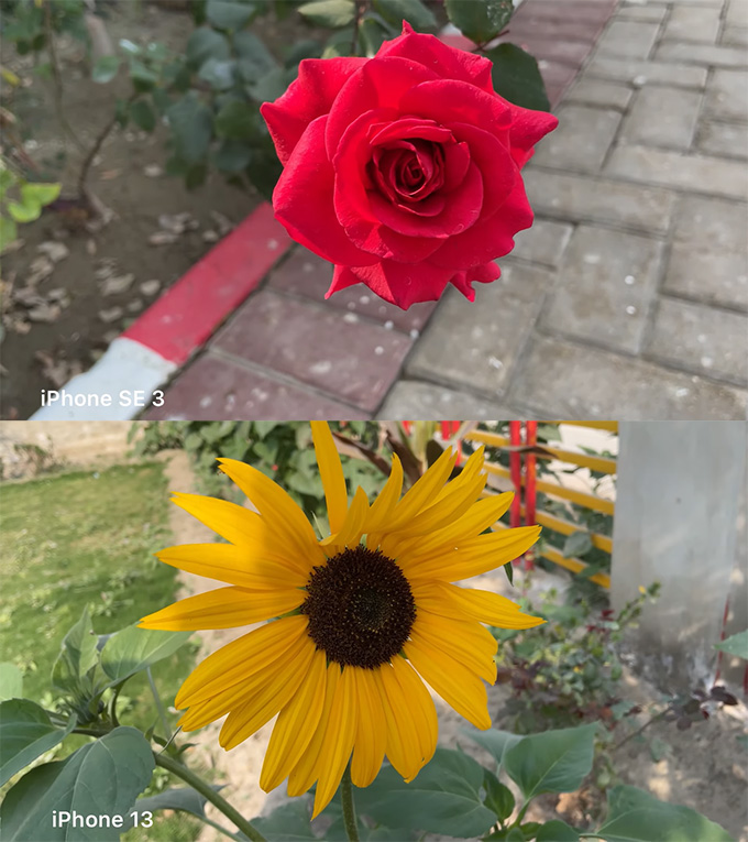 So sánh camera iPhone SE 2022 và iPhone 13: chiếc máy nào sẽ kém hơn