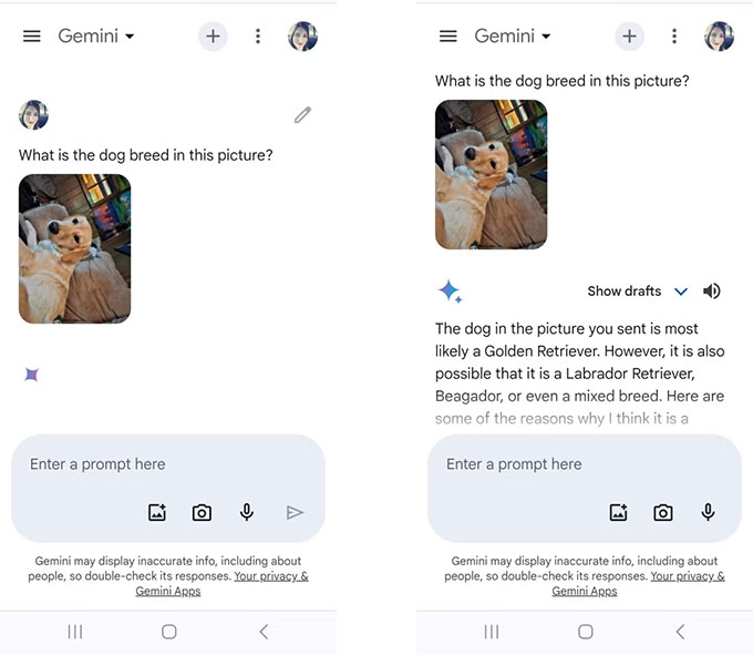 Trò chuyện với Gemini bằng hình ảnh
