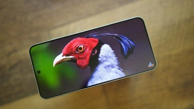 Màn hình OnePlus 15R