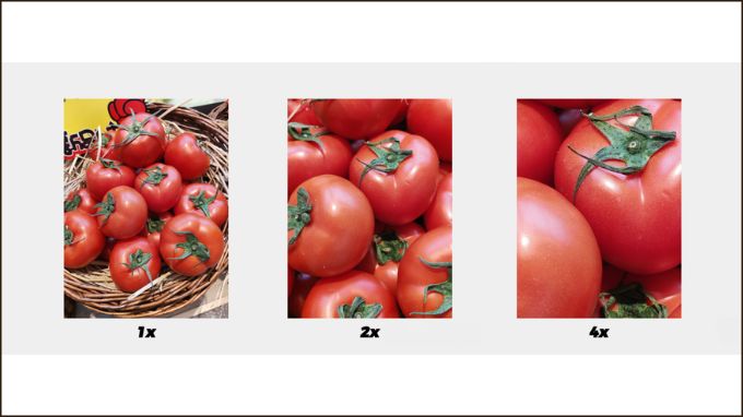 Ảnh chụp Zoom bằng camera Honor 400