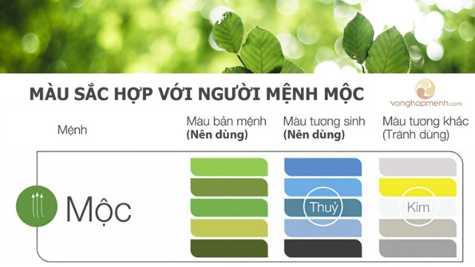 Tìm hiểu về mệnh Mộc trong phong thủy
