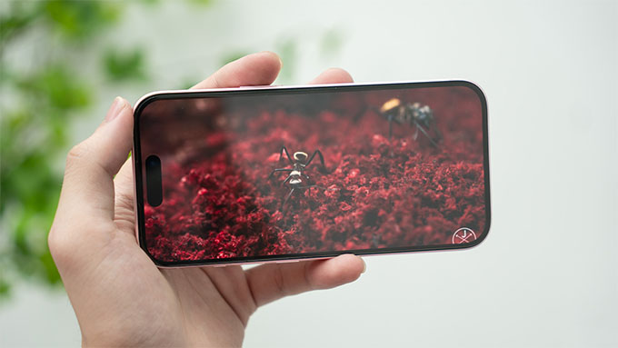 Màn hình iPhone 15 512GB cũ 6,1 inch sắc nét