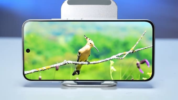 So sánh OPPO Reno16 F vs OPPO Reno15 về màn hình