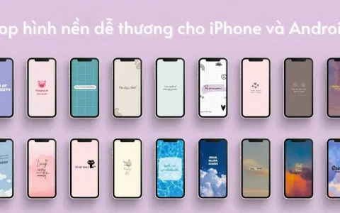 Top hình nền dễ thương cho iPhone và Android mà bạn không thể bỏ qua