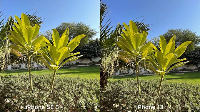 So sánh camera iPhone SE 2022 và iPhone 13: chiếc máy nào sẽ tốt hơn nhiều?