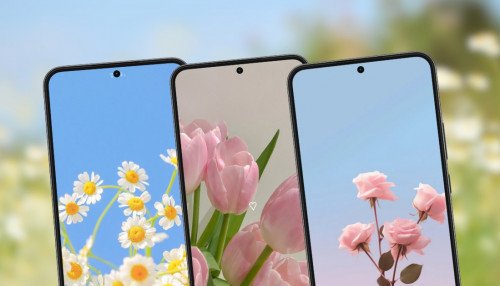 Top hình nền hoa đẹp, chất lượng cao cho điện thoại, máy tính