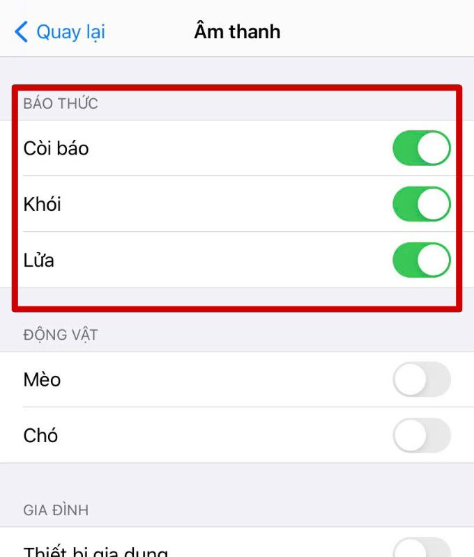 Cách bật tính năng Nhận dạng âm thanh (báo cháy) trên iPhone