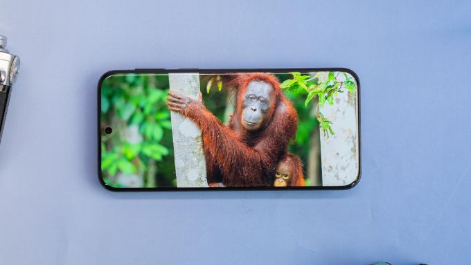 Màn hình Huawei Pura 80 Ultra