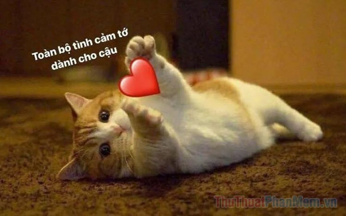 Meme Valentine ngọt ngào, dễ thương cho các cặp đôi