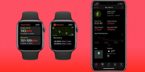 Chỉ số nhịp Heart Rate Recovery trên Apple Watch là gì? Tại sao nó lại quan trọng?  Đâu là cách sử dụng?