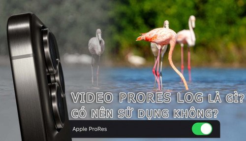 Video ProRes Log là gì? Có nên sử dụng như mặc định không?