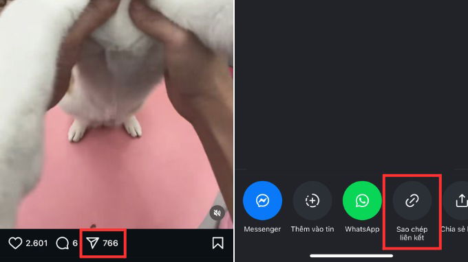 Cách tải video Instagram trên điện thoại iPhone