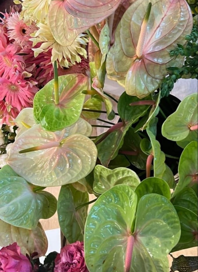 Hình nền iPad Pro M5 hoa lá