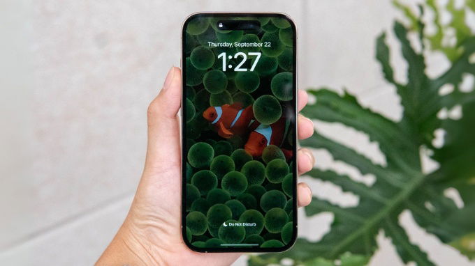 Màn hình iPhone 15 Pro Max không tắt hẳn là tình trạng gì?