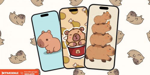Tải 50+ hình nền Capybara cute, dễ thương, vô tri cho điện thoại và máy tính