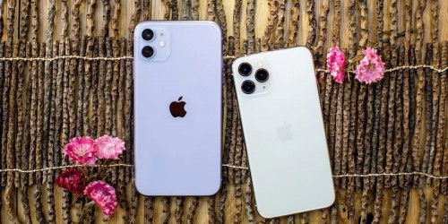 So sánh iPhone 11 và iPhone 11 Pro: Khác biệt ở điểm nào?