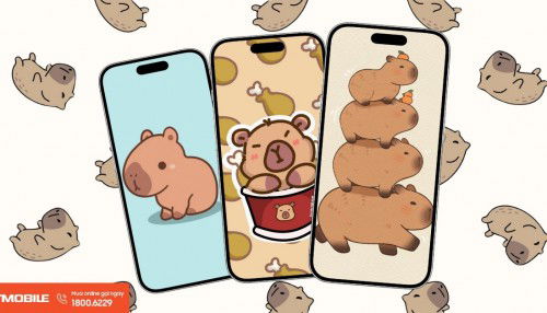 Tải 50+ hình nền Capybara cute, dễ thương, vô tri cho điện thoại và máy tính