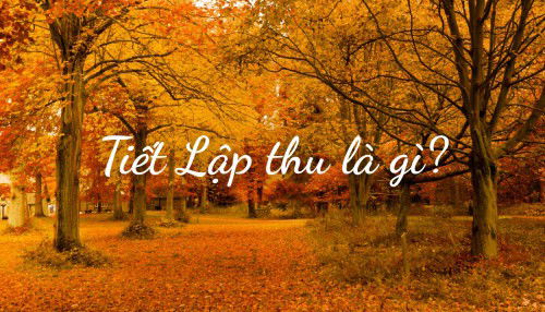 Lập thu là gì? Tiết Lập thu 2025 là ngày nào? Có gì đặc biệt?