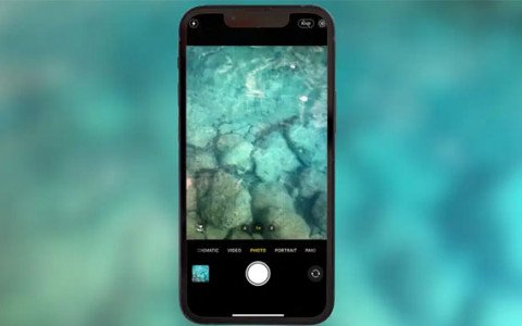 Cách chụp ảnh dưới nước tuyệt đẹp bằng iPhone của bạn