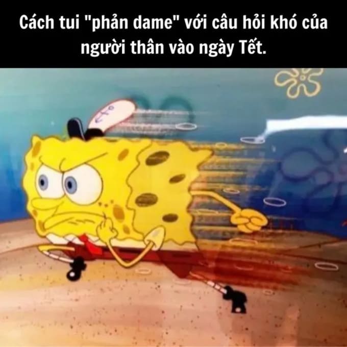 Meme Tết