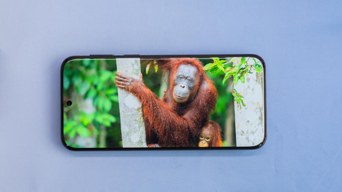 Đánh giá màn hình Huawei Pura 80 Ultra