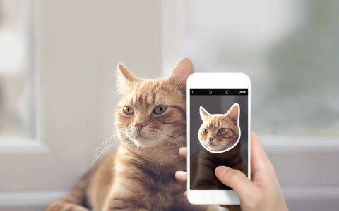 Hướng dẫn cách tạo sticker từ ảnh trên điện thoại Android và IOS mới nhất