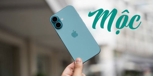 Mệnh Mộc nên mua điện thoại màu gì? Cách chọn điện thoại phù hợp với mệnh Mộc
