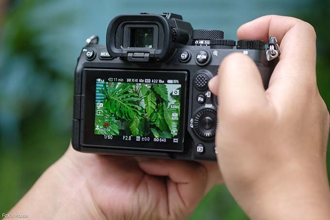 Chất lượng ảnh chụp của máy ảnh Sony A7IV