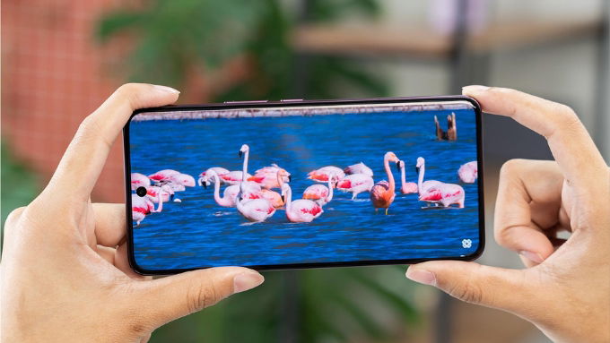 Trên vivo V60, màn hình AMOLED 6.77 inch độ phân giải FHD+ đi kèm tần số quét 120Hz, mang lại cảm giác mượt mà khi cuộn