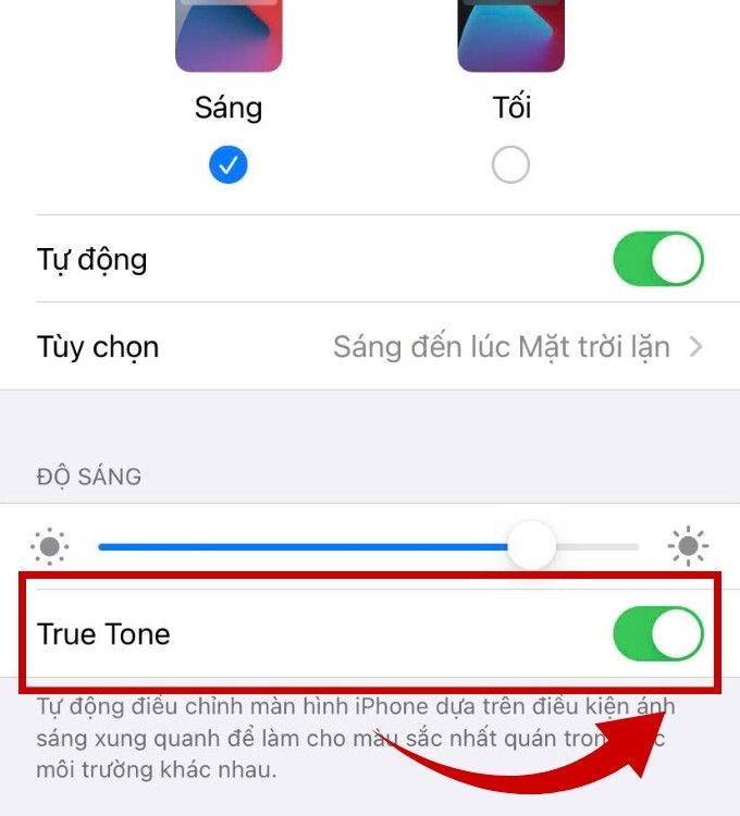 Cách bật/tắt True Tone trên iPhone và iPad