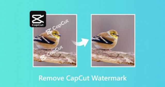 Hướng dẫn cách xóa chữ CapCut trên video nhanh chóng, chi tiết nhất