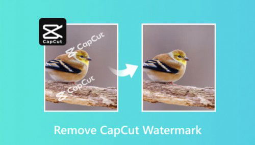 Hướng dẫn cách xóa chữ CapCut trên video nhanh chóng, chi tiết nhất