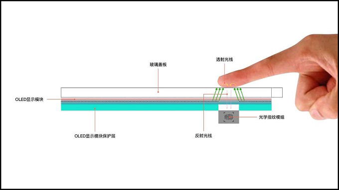 Cảm biến vân tay kết hợp đo nhịp tim trên Mi 11