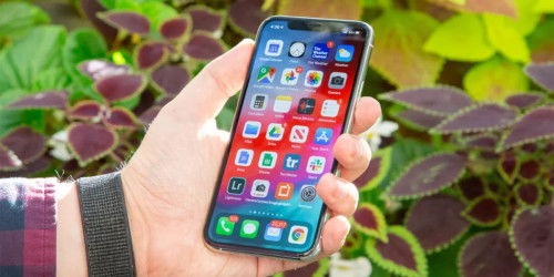 iPhone 11 sẽ theo bước iPhone Xr và chính thức bị khai tử vào năm sau?