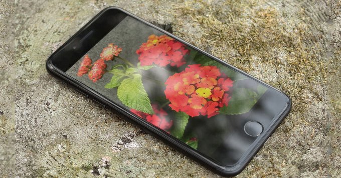 iPhone 7 Plus cũ giá bao nhiêu năm 2022? Có còn đáng tiền không? |  websosanh.vn