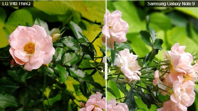 So sánh ảnh chụp từ camera LG V40 ThinQ và Note 9