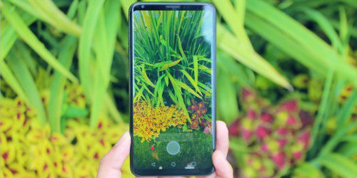 Đánh giá LG V30 Mỹ sau 2 năm: Thiết bị giải trí tốt nhất phân khúc 6 triệu