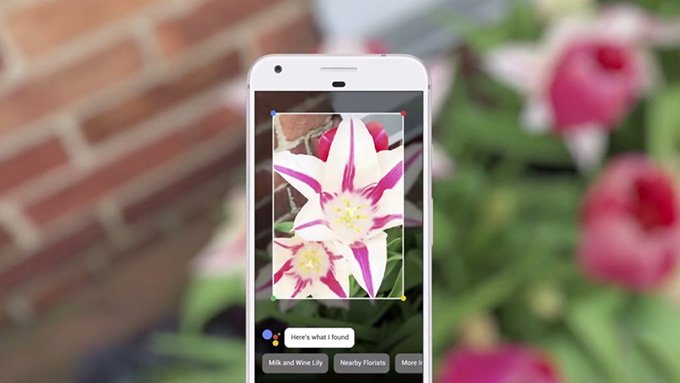 Google Lens đem đến nhiều tiện ích thú vị dành cho người dùng