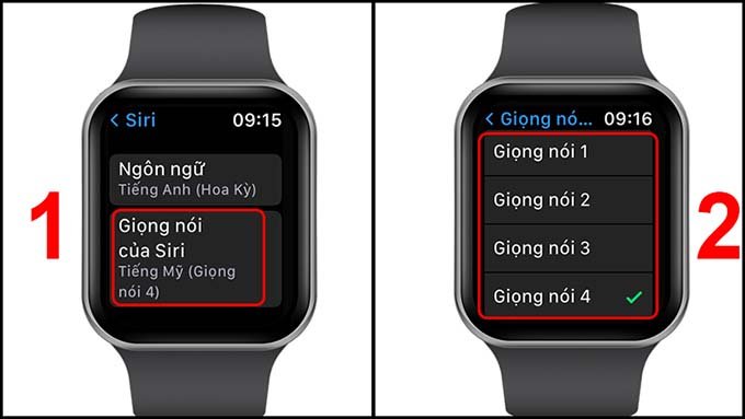 Cách thay đổi giọng nói Siri trên Apple Watch