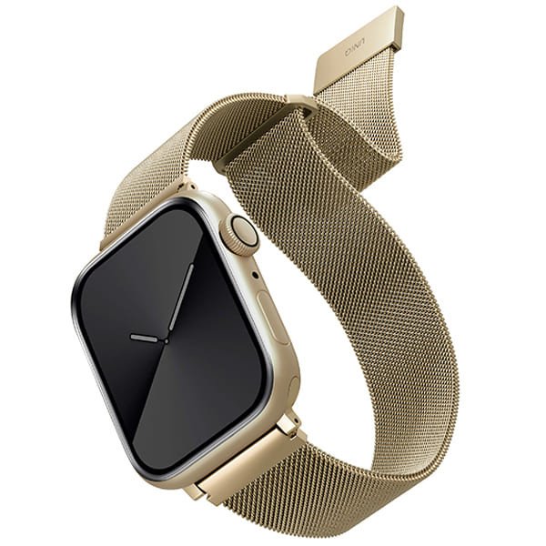 Dây đeo UNIQ Apple Watch (44/42mm) DANTE Mesh Steel Strap